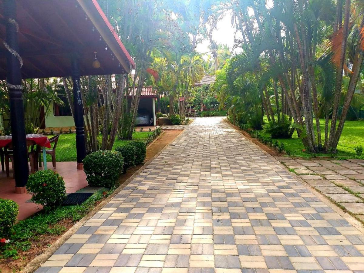 Hotel Tk Green Garden Ματάρα Εξωτερικό φωτογραφία