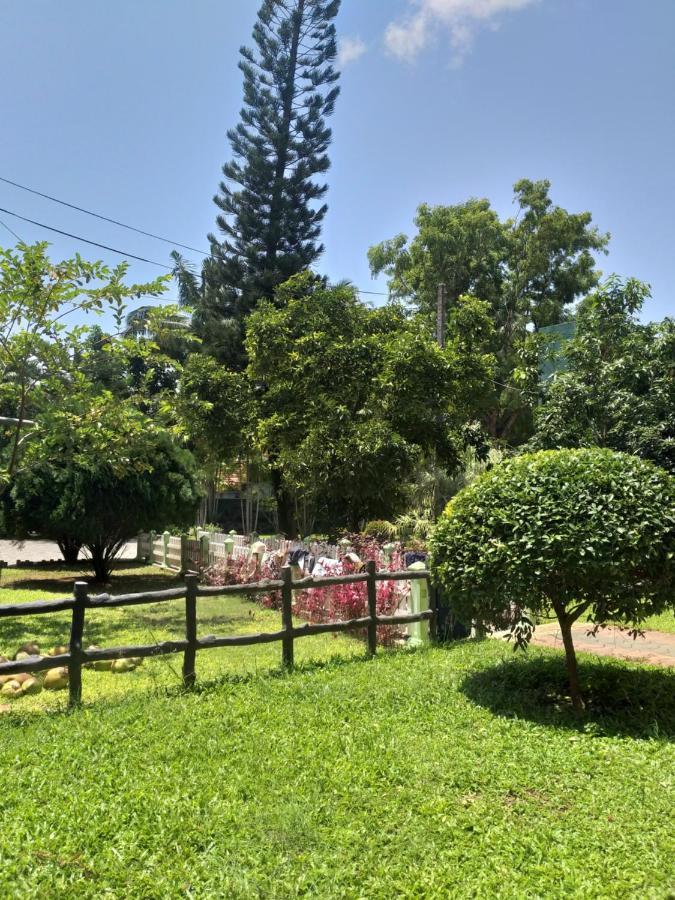Hotel Tk Green Garden Ματάρα Εξωτερικό φωτογραφία
